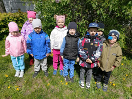 На прогулке мы гуляли, за природой наблюдали! На прогулке мы гуляли, за природой наблюдали!.